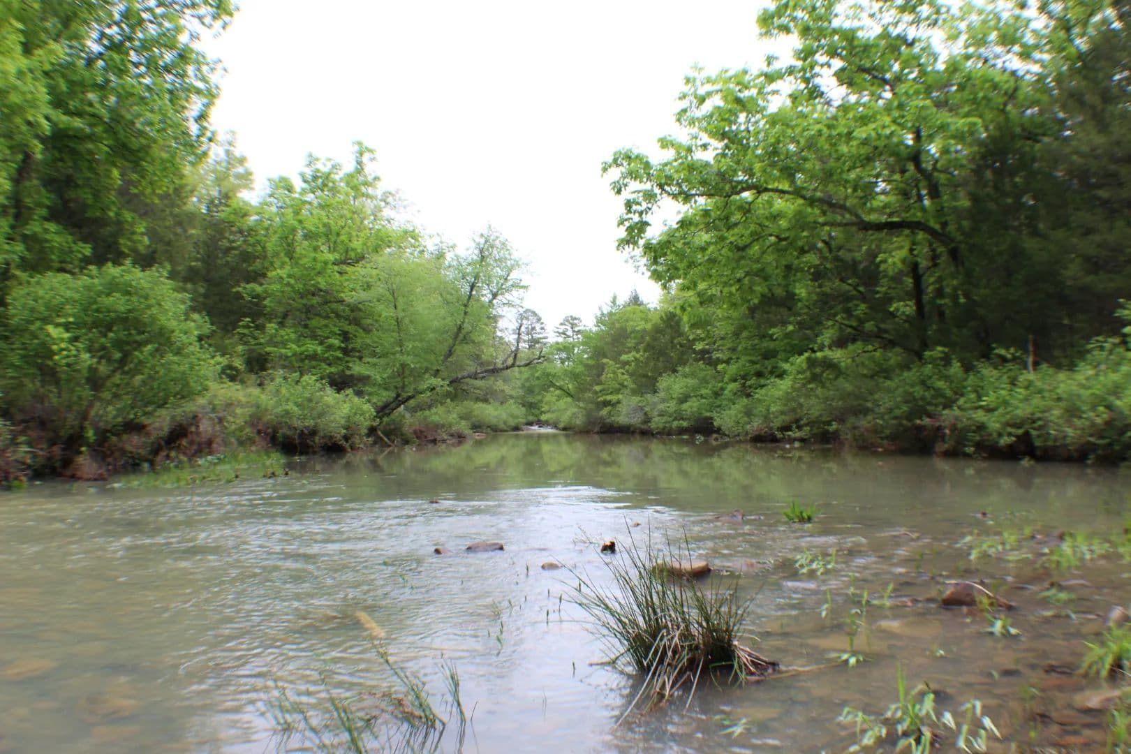 Boggs Hollow 113 - land for sale
