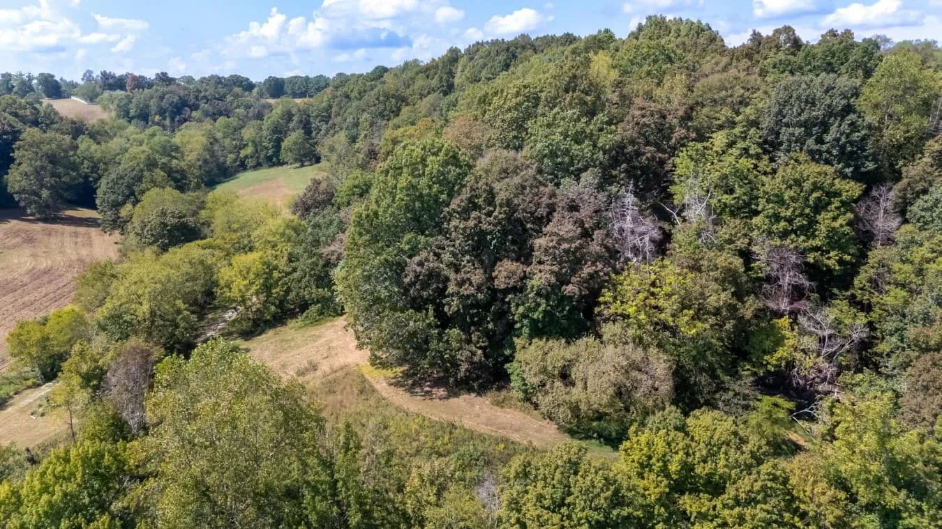 384 Big Spring Hollow Road - Pulaski, Tennessee, 38478