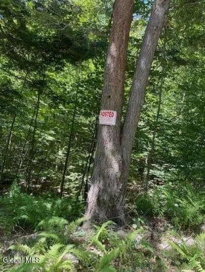 Land -Single Family Acreage in Edinburg