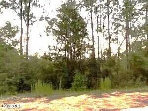 Property from 00 Bay Drive #lot 51,52 - KW - Marianna, Florida, 32448