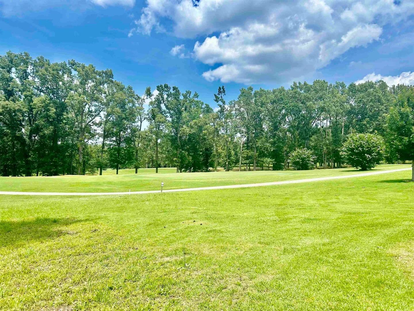 Property from 13 LEGENDS DR - KW - Counce, Tennessee, 38326