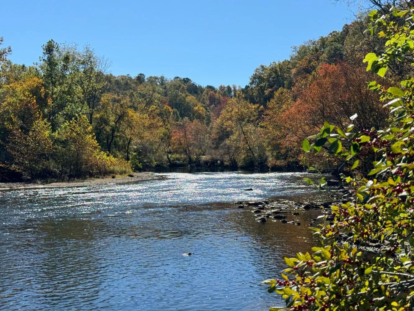 Legacy Estate Riverfront Prime Acreage - Franklin, North Carolina, 28734