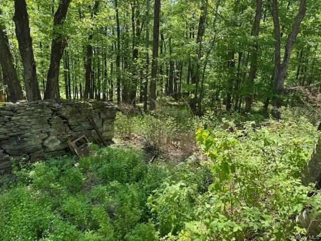 Land -Single Family Acreage in Callicoon - Callicoon, New York, 12726