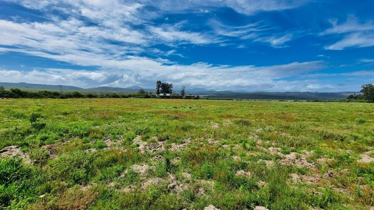 Land for Sale in Sedgefield, Western Cape - land for sale