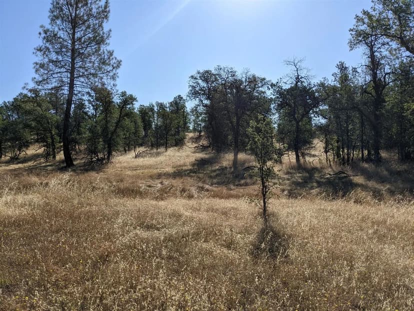 Vacant Land (0-10 Acres) in Redding