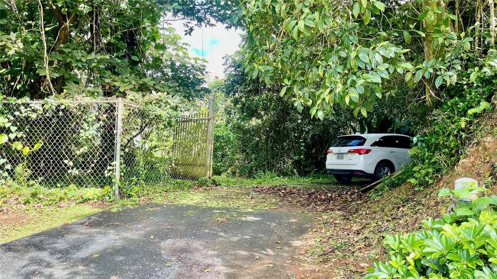 10.3 Acres of Land for Sale in Aibonito County - land for sale