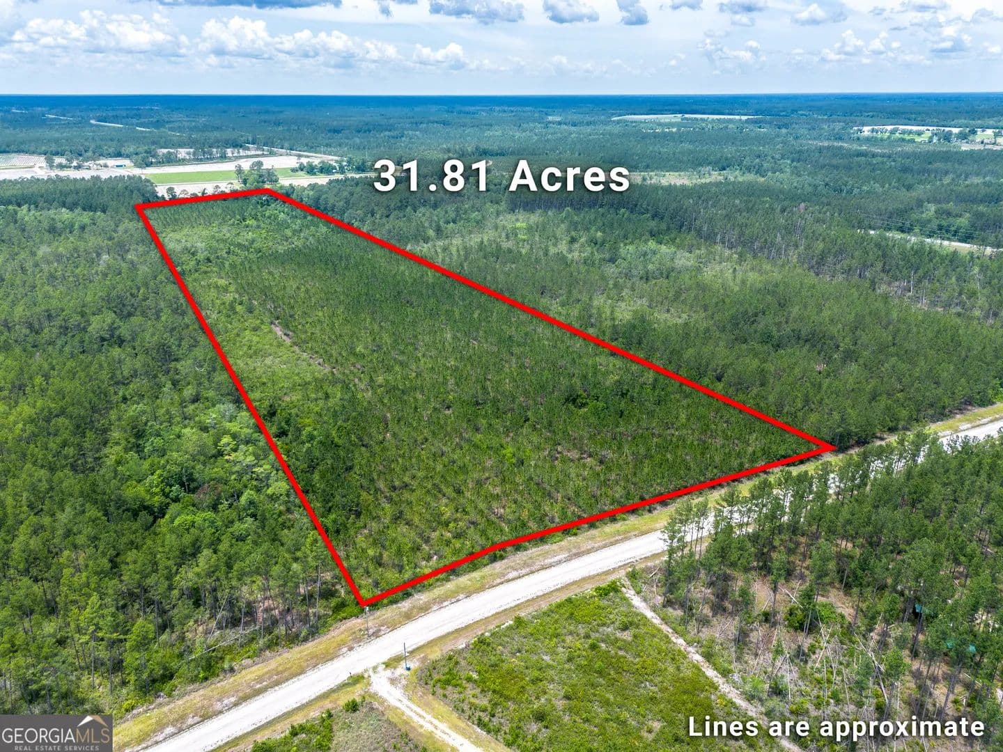 31.81 Acres of Land for Sale in Manor, Georgia - Manor, Georgia, 31550