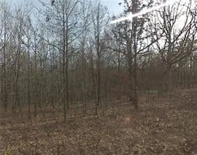 0.29 Acres of Land for Sale in Bella Vista, Arkansas - Bella Vista, Arkansas, 72715