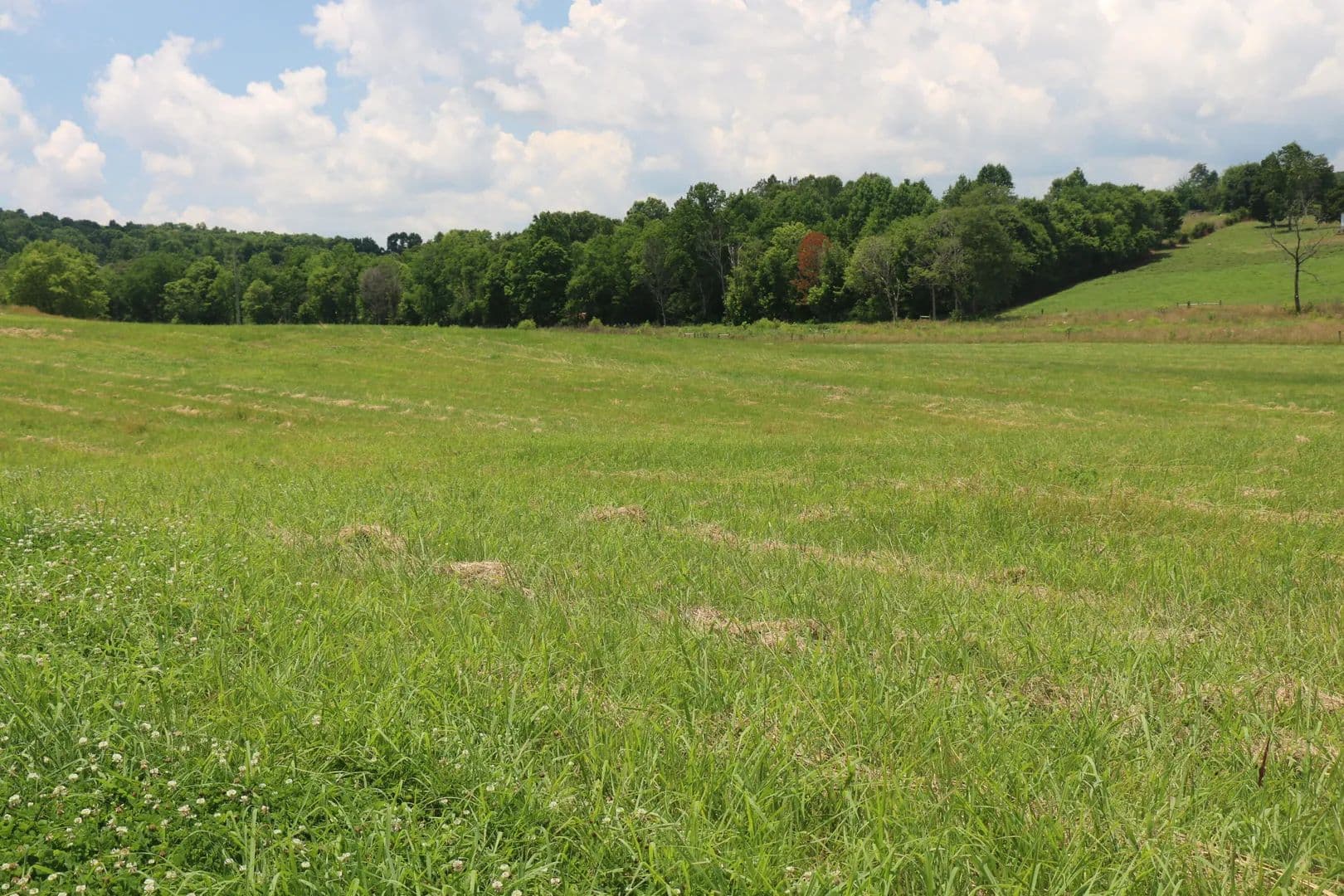 Property from Lot 5r County Road 461 - KW - Englewood, Tennessee, 37329