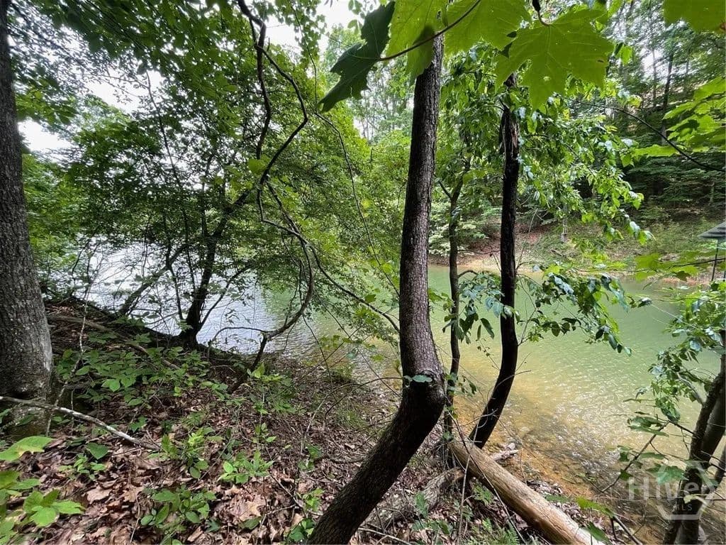Vacant Land in Westminster - Westminster, South Carolina, 29693