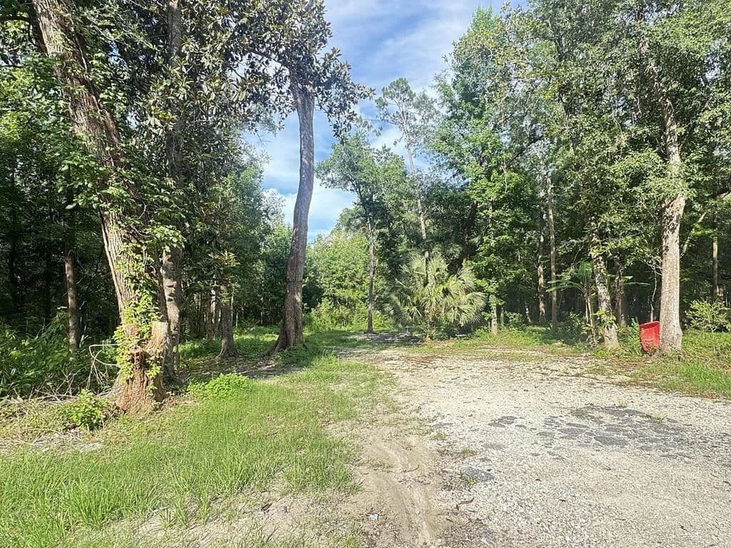 1.05 Acres of Land for Sale in Wewahitchka, Florida - Wewahitchka, Florida, 32465
