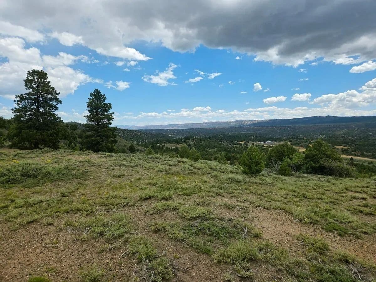 20 Acres of Land for Sale in Duck Creek Village, Utah - Duck Creek Village, Utah, 84762