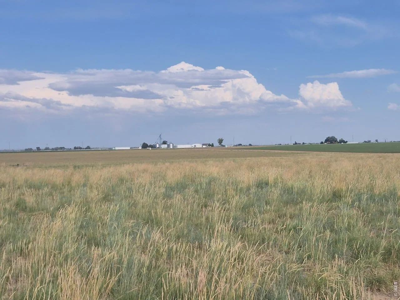 Property from 1 CR 35 - KW - Eaton, Colorado, 80615