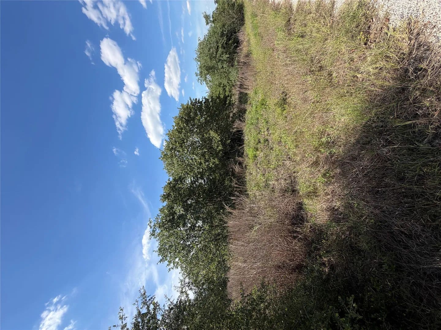 1.26 Acres of Land for Sale in Bastrop, Texas - Bastrop, Texas, 78602