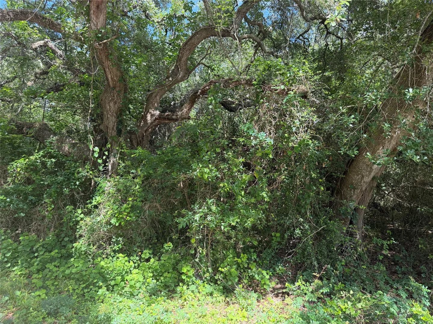 0.12 Acres of Land for Sale in Palacios, Texas - Palacios, Texas, 77465