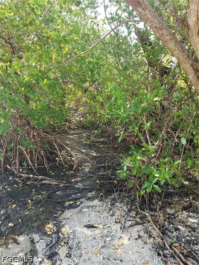 Vacant Land in St James City - Florida, 33956