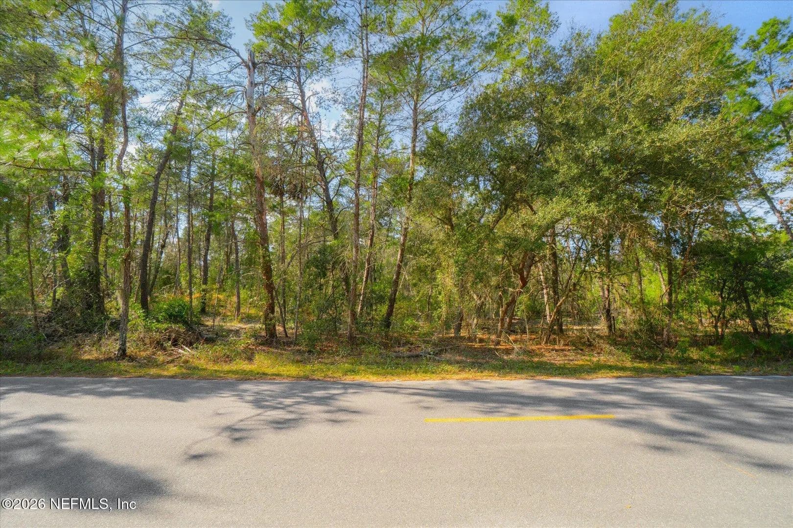 0.87 Acres of Land for Sale in Welaka, Florida - Welaka, Florida, 32181