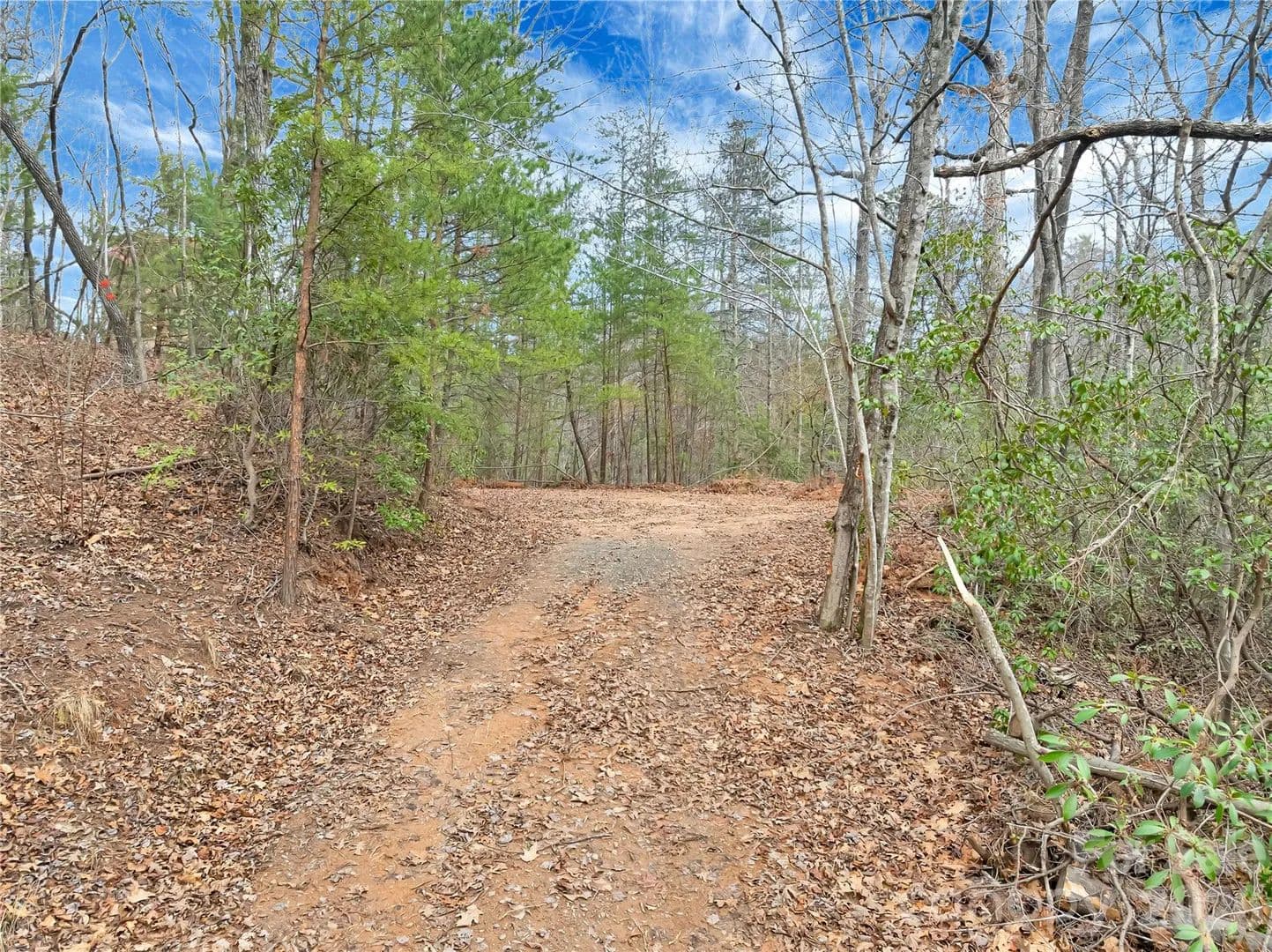 2.12 Acres of Land for Sale in Saluda, NC - Saluda, North Carolina, 28773