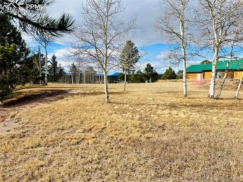 Lots & Land-Other in Divide - Divide, Colorado, 80814