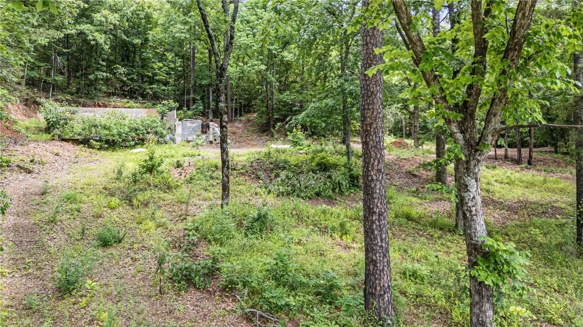 1.27 Acres of Land for Sale in Dover, Arkansas - Dover, Arkansas, 72837