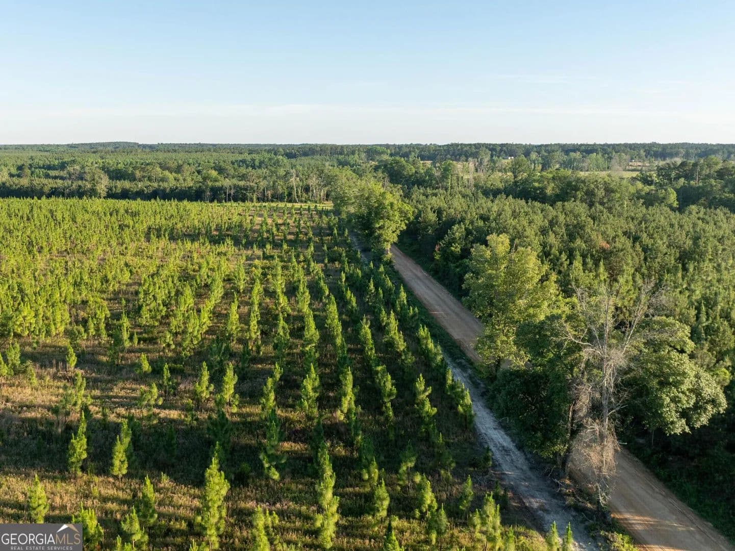 Property from 003 Beulah Road Tract 3 - KW - Sylvania, Georgia, 30467