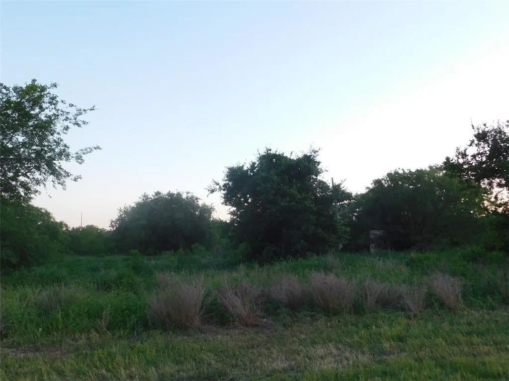 9.31 Acres of Land for Sale in Alice, Texas - Alice, Texas, 78332
