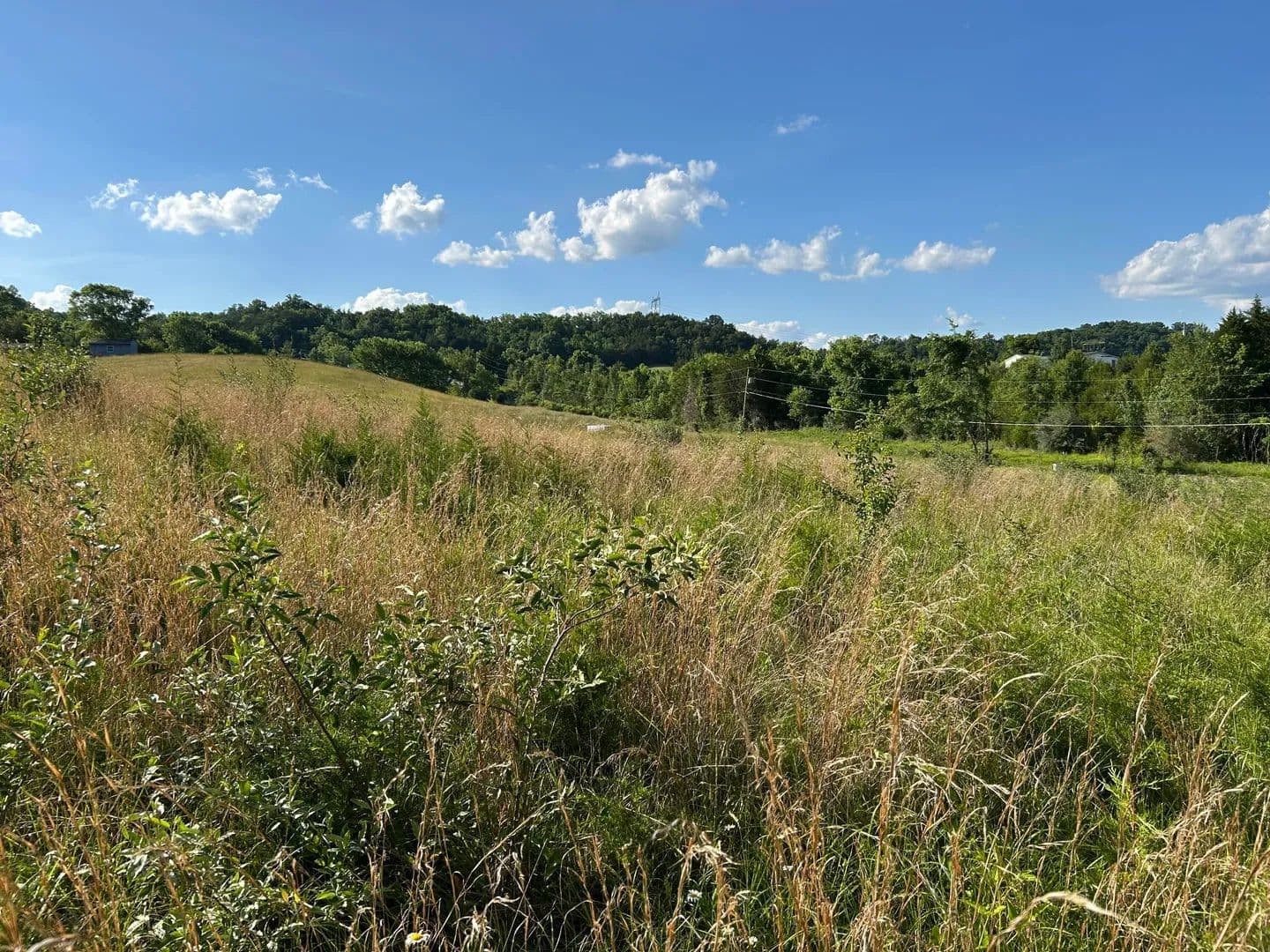 Property from 0 Old Tennessee 70 - KW - Rogersville, Tennessee, 37857