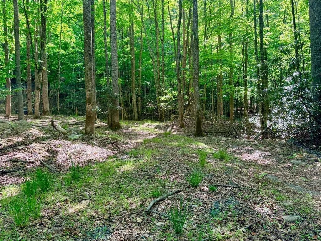 Property from Lot 5A Buckeye Ridge Road - KW - Beech Mountain, North Carolina, 28604