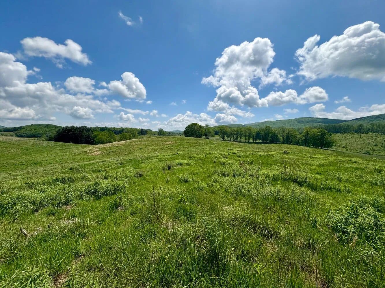 Sugar Grove Farm- Tract B - Sugar Grove, Virginia, 24375