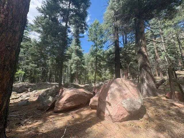 Property from 30 Brazos Lodge Estates - KW - Chama, New Mexico, 87520