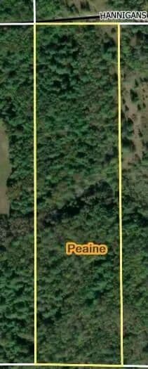 10.17 Acres of Land for Sale in Beaver Island, MI - Beaver Island, Michigan, 49782