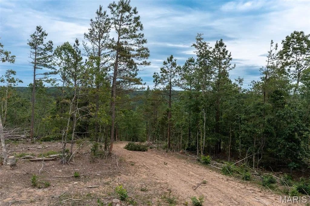 Property from Tract 4 Hidden Valley - KW - Annapolis, Missouri, 63628