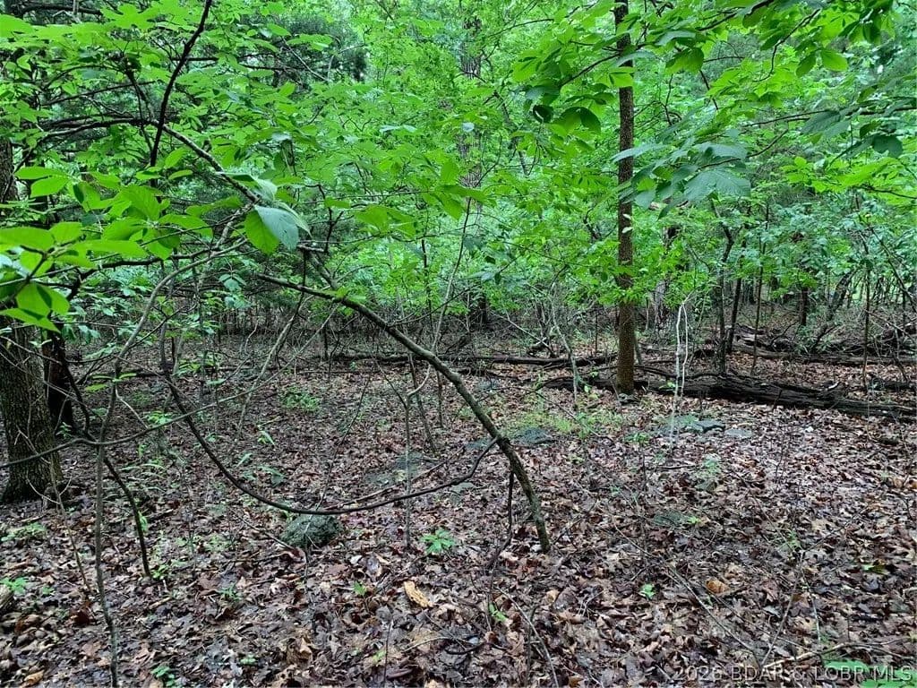 Property from Lot 736 Linn Creek Road - KW - Lake Ozark, Missouri, 65049