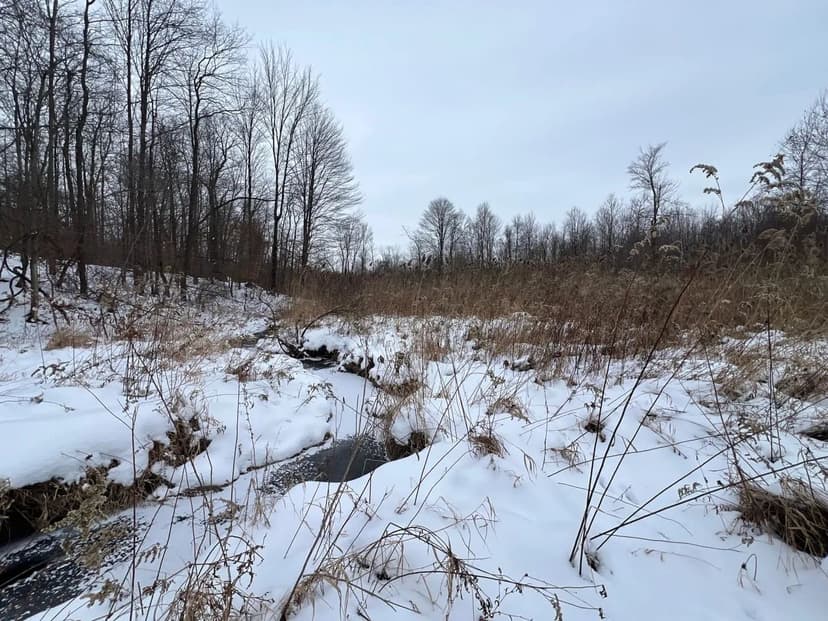 W Center Rd. Linesville, PA - 36 +/- Acres