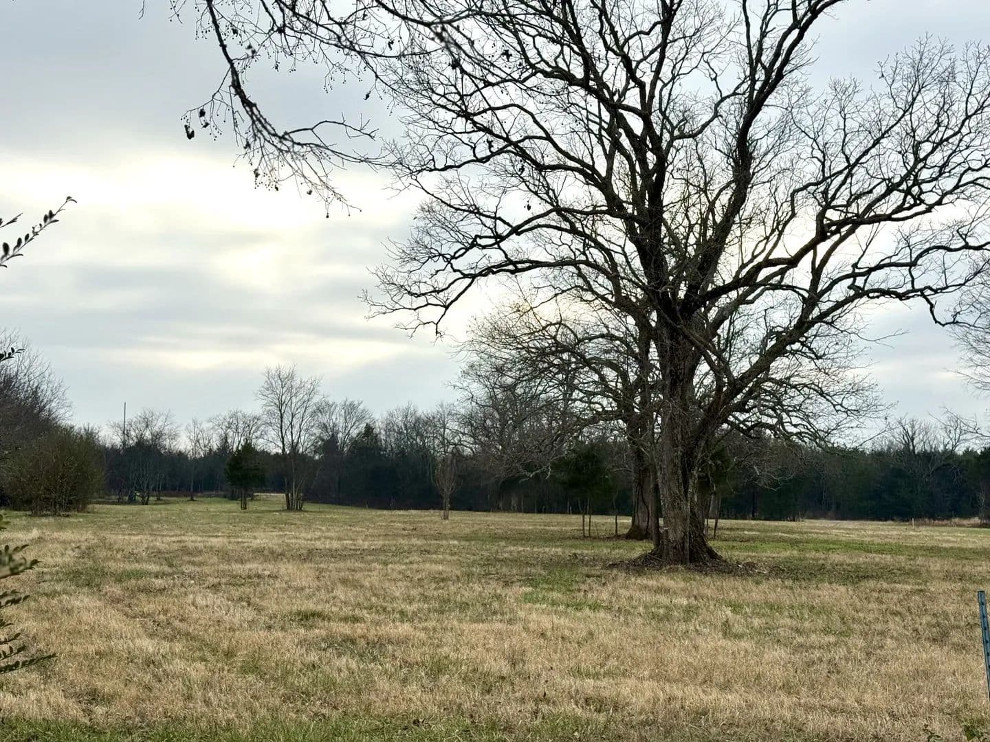 Vacant Land in Lebanon - Lebanon, Tennessee, 37090