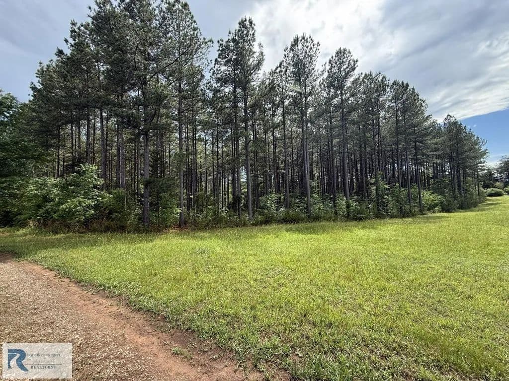Property from 000 FRANKLIN TPKE - KW - Chatham, Virginia, 24531