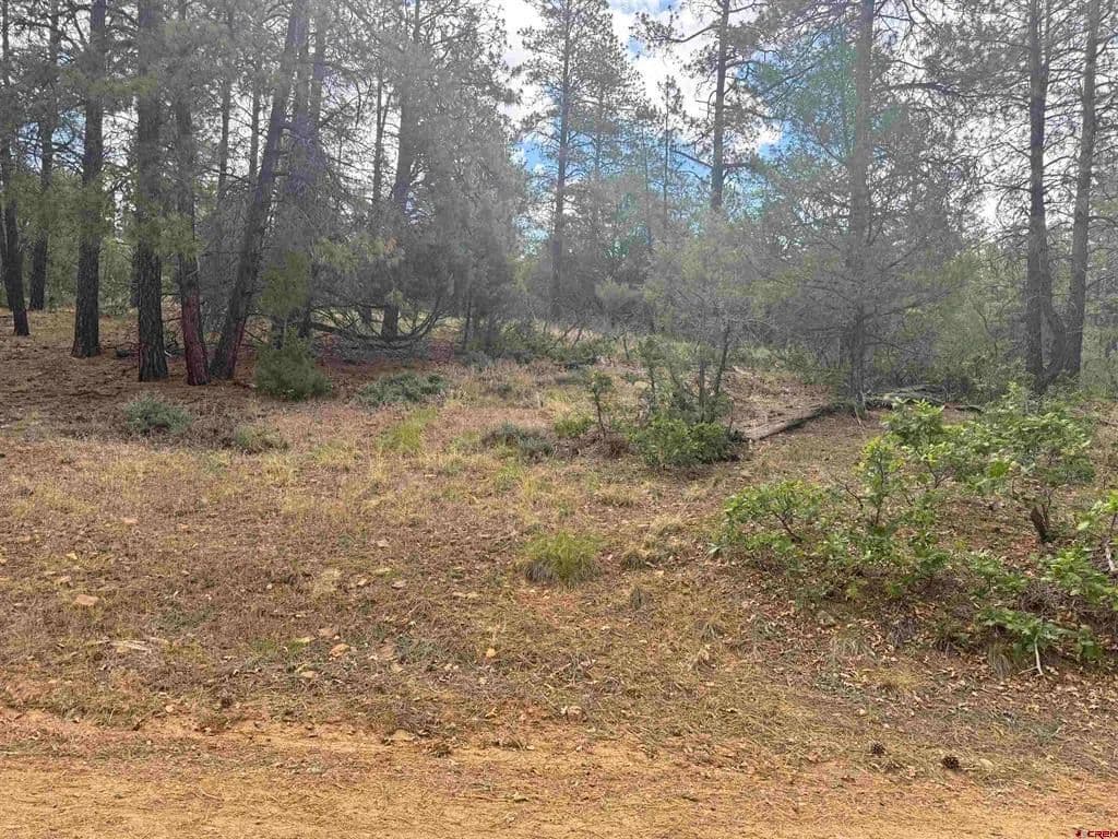 Property from 1259 Westview Road - KW - Pagosa Springs, Colorado, 81147