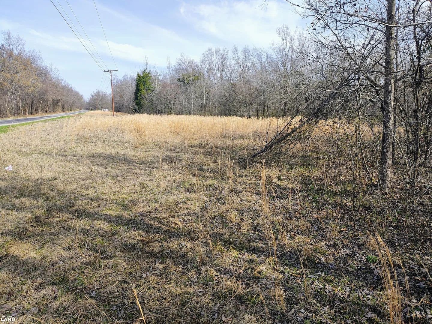 Home site with backyard hunting property - Rayville, Louisiana, 71269