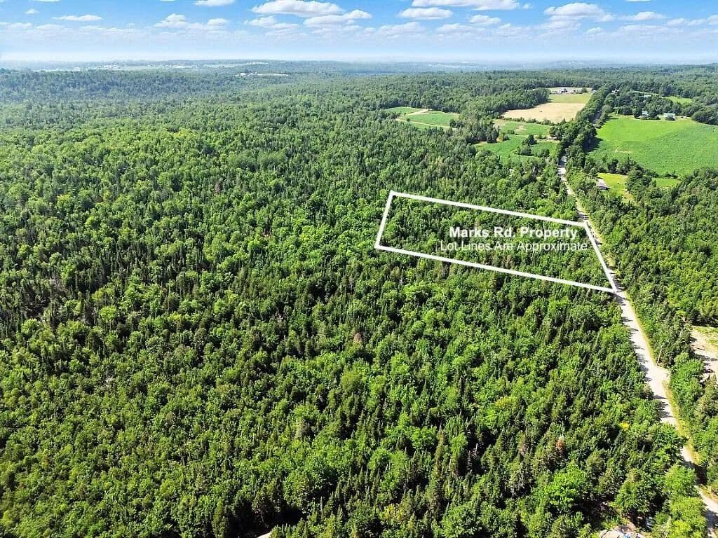 8.3 Acres of Land for Sale in Albion, Maine - Albion, Maine, 04910