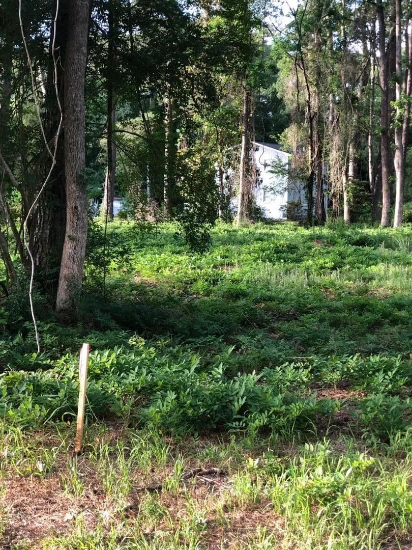 Vacant Land in Conway - Conway, South Carolina, 29527