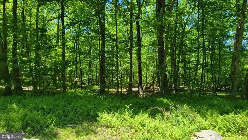 11.14 Acres of Land for Sale in Thurmont, Maryland - Thurmont, Maryland, 21788