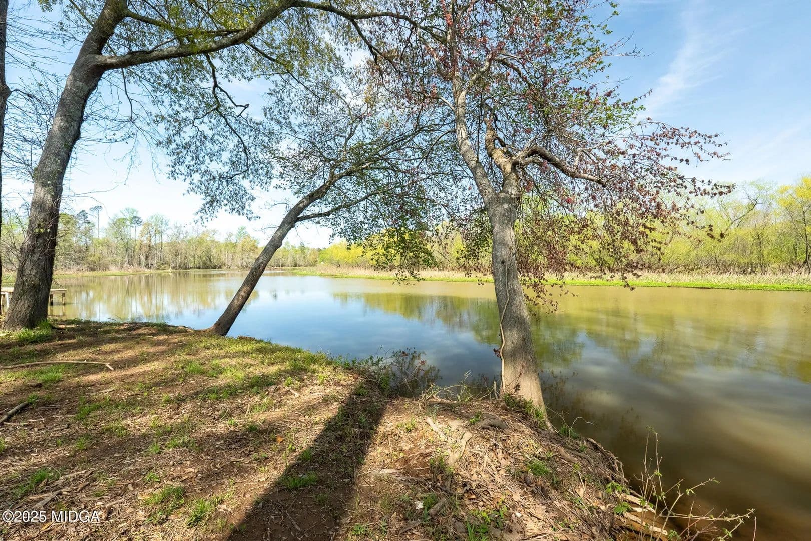 Property from 0 Henry Higgins Road - KW - Jackson, Georgia, 30233