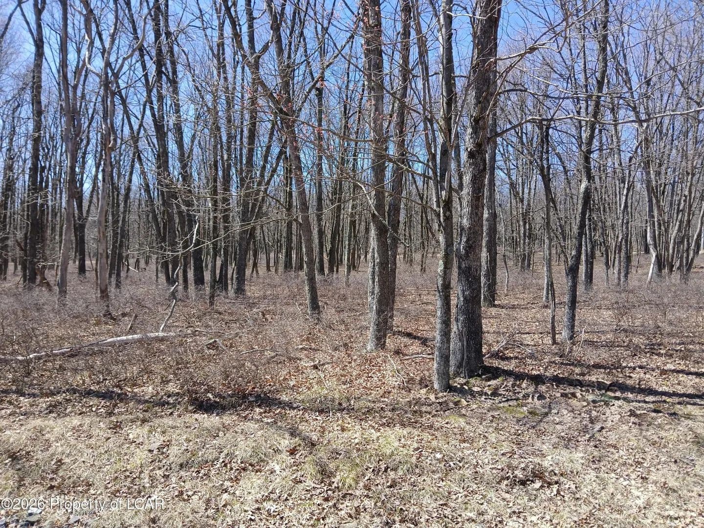 Lots & Land-Other in Hazle Twp - Pennsylvania, 18202