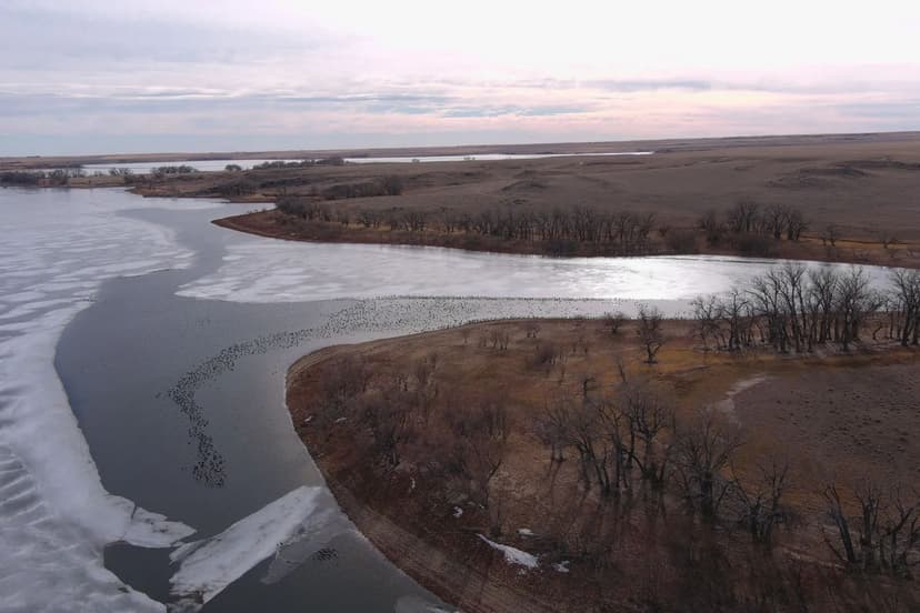 North Sterling Lakefront & Pasture