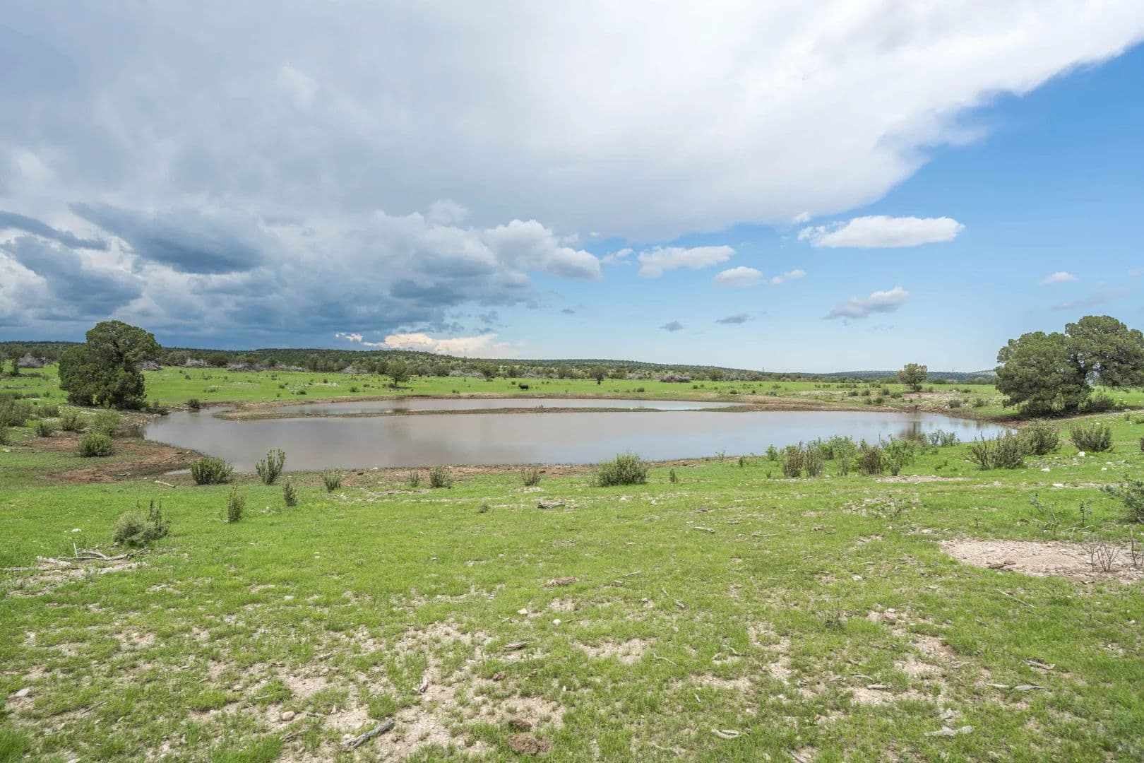 3,439-Acre Cattle & Hunting Ranch in Otero County, New Mexico - land for sale