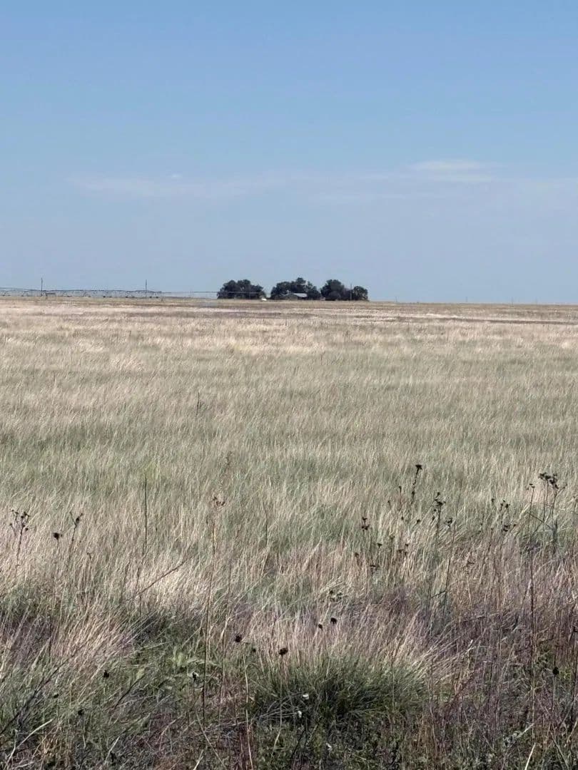 320 Acres of Land for Sale in Guymon, Oklahoma - Guymon, Oklahoma, 73942