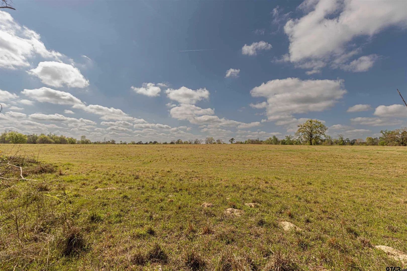 40 Acres of Land for Sale in Winona, Texas - Winona, Texas, 75792