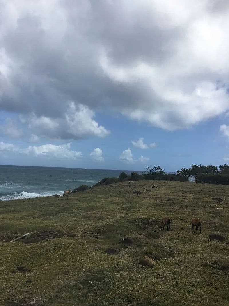 Vacant Land in St David - land for sale