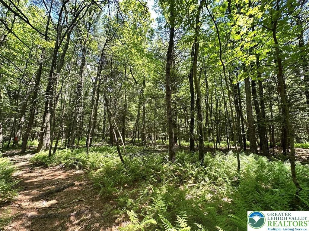 Property from 1455 Greenwood Street - KW - , Pennsylvania, 18071