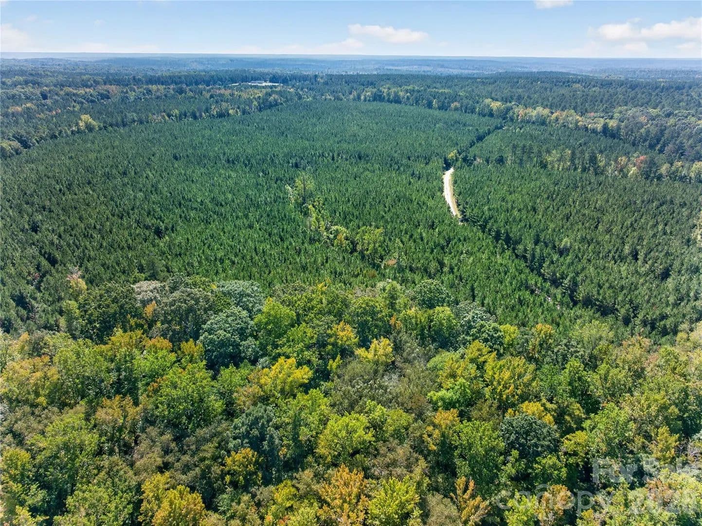 26.5 Acres of Land for Sale in Chester, SC - land for sale